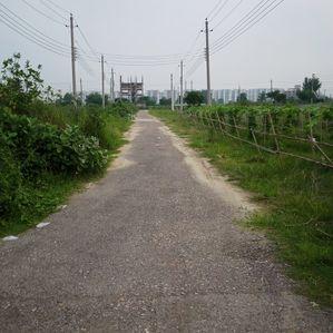 Contact Image form