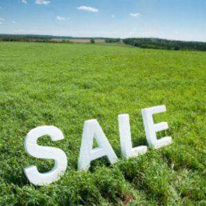 Contact Image form