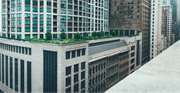 Exploring Eco-Friendly Architecture in Bangladesh