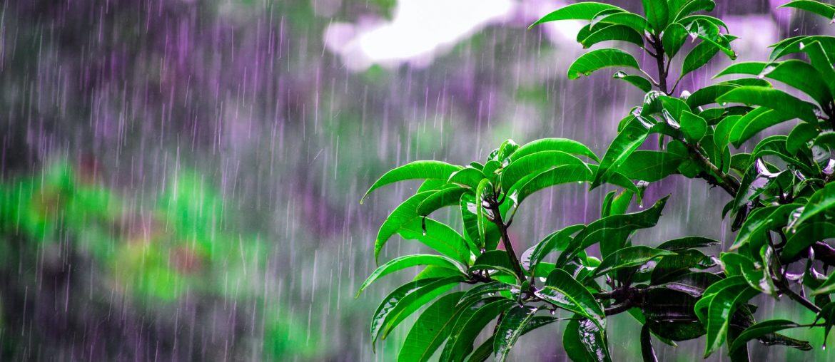 Ways To Keeping The House Safe In The Rainy Season - Bproperty