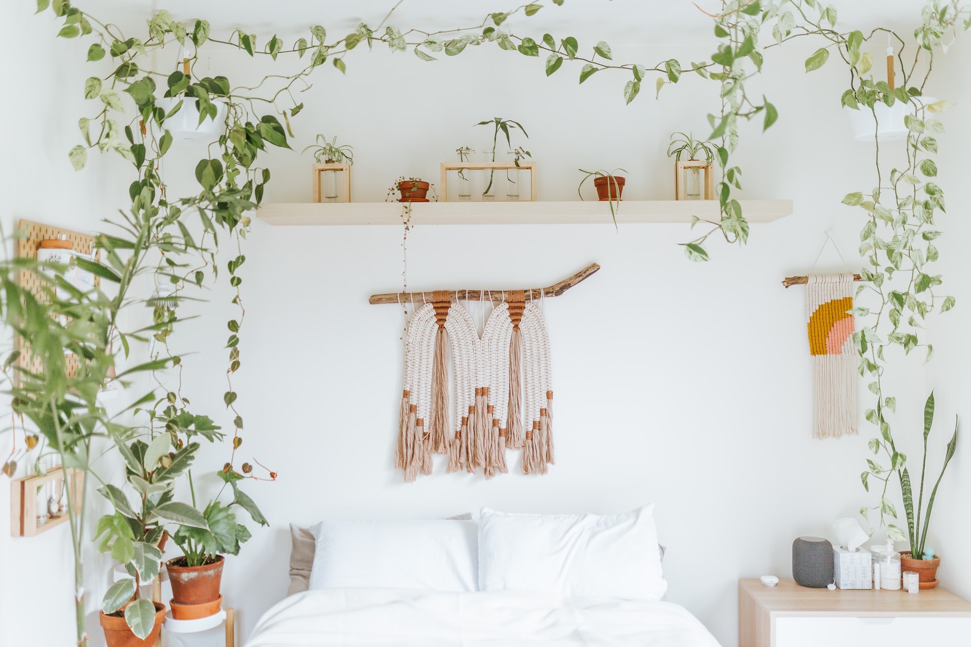 Indoor Plant Bedroom