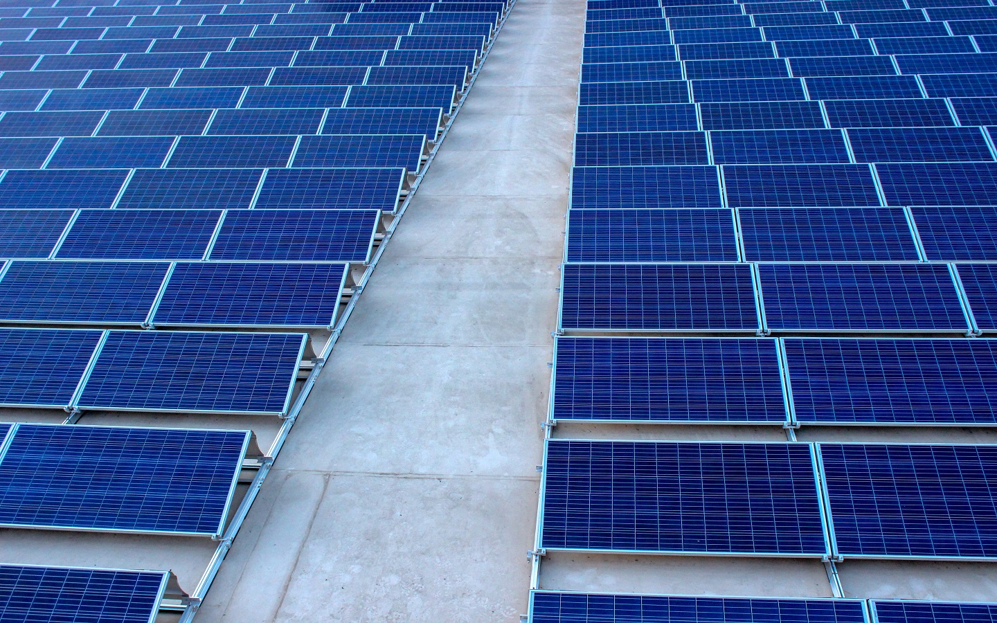Rows of Solar Panels 