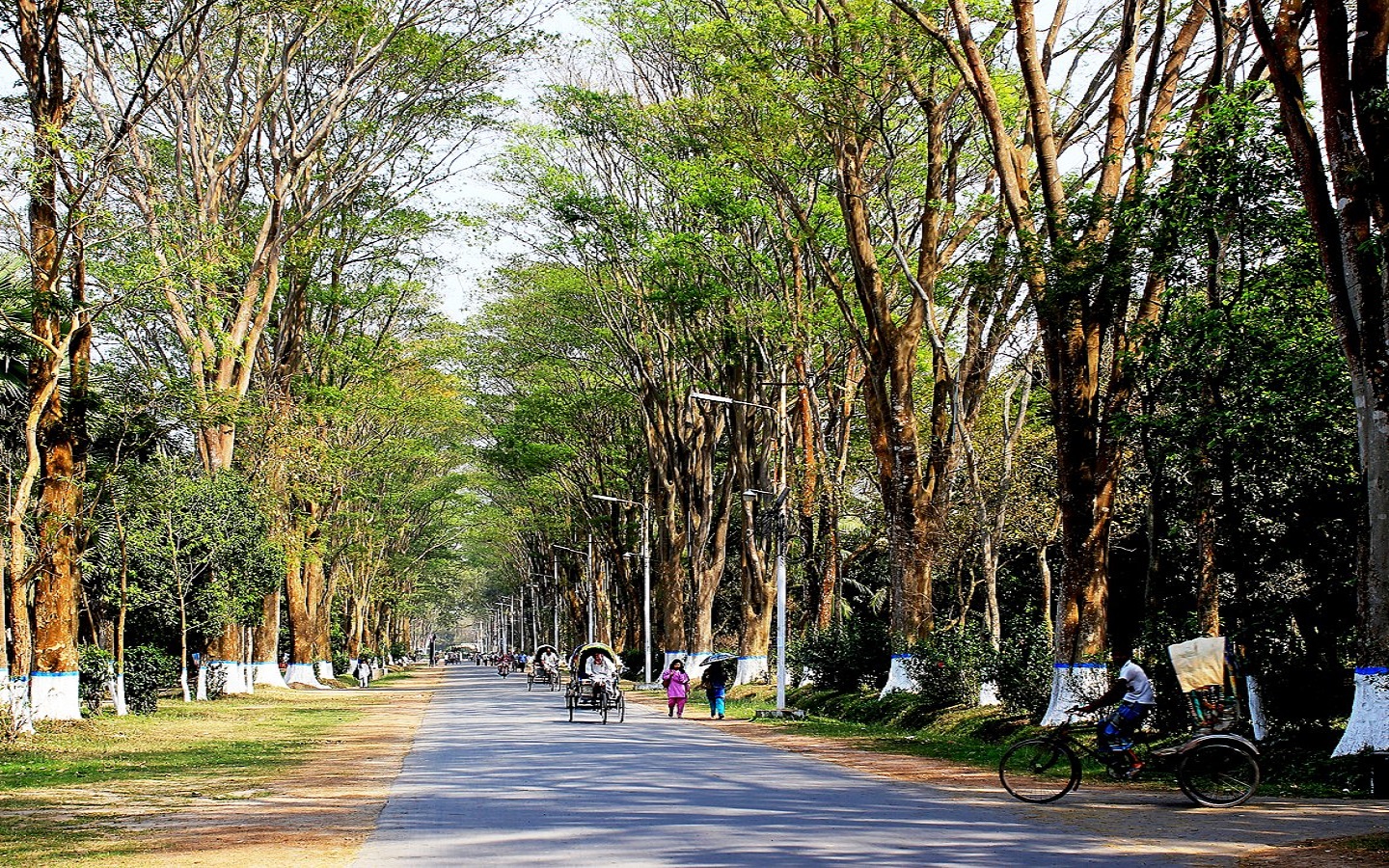 Paris_road_rajshahi