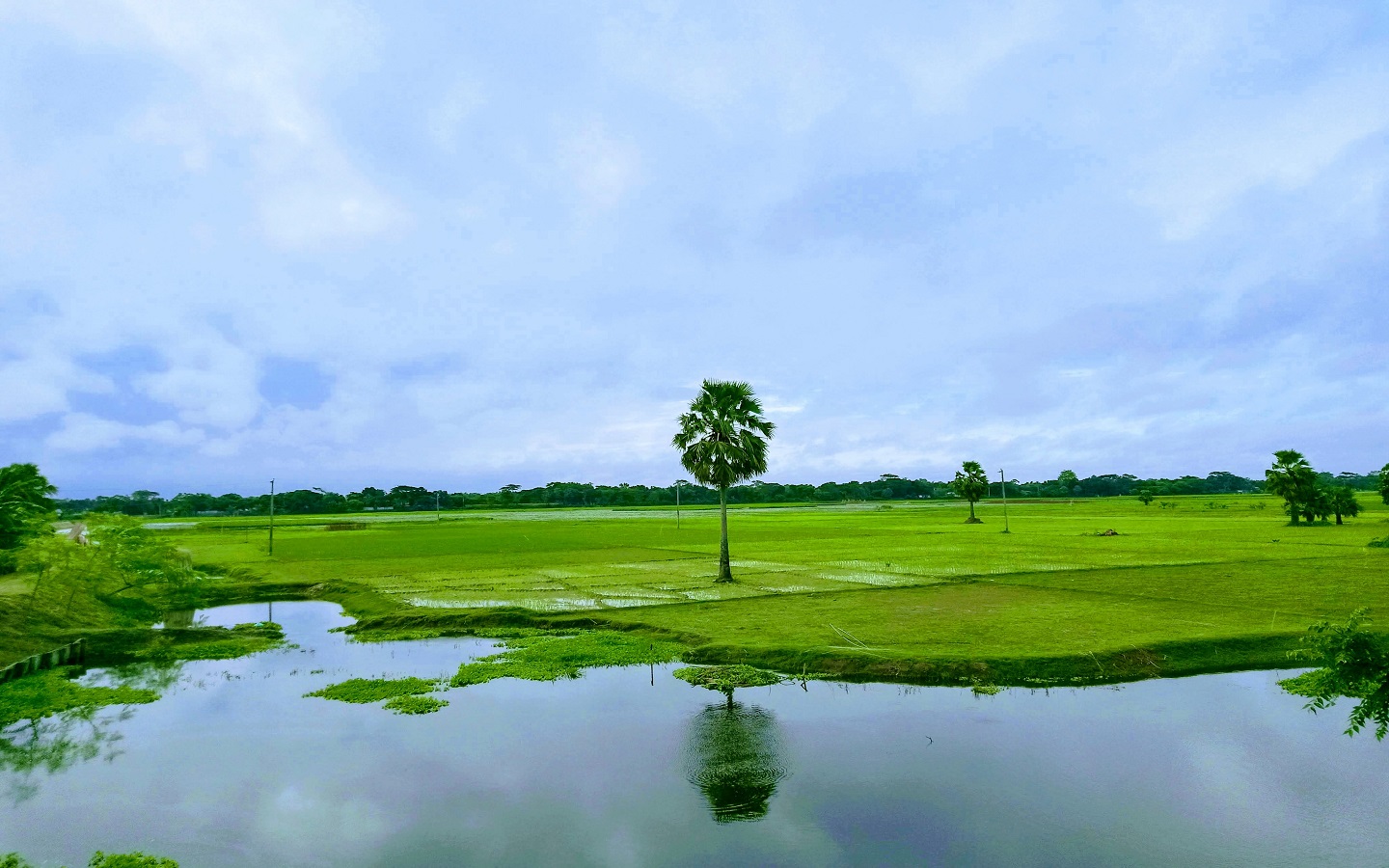 Agricultural land