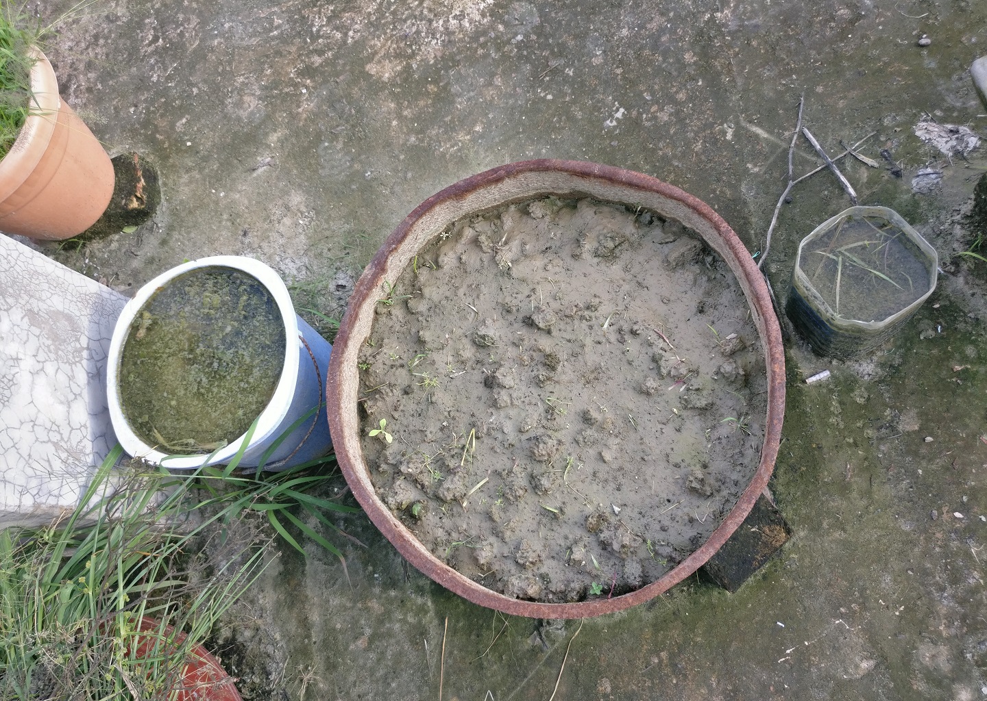 plantation pot