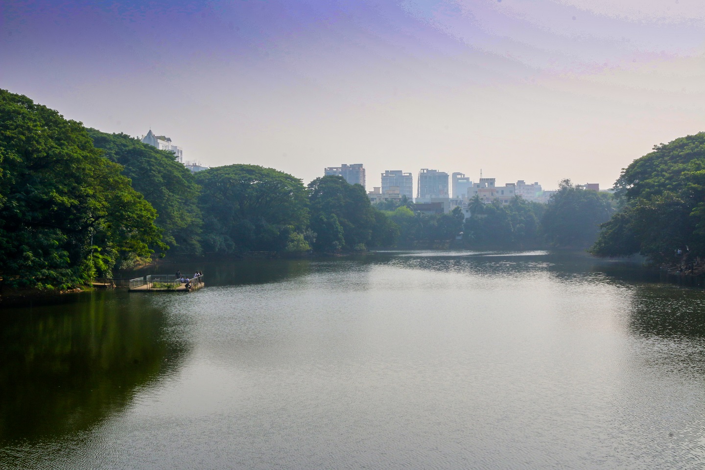 ধানমন্ডি