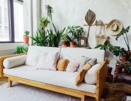 popularity of biophilic design