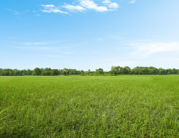 Top Budget-friendly Areas to Buy Land in Dhaka - Bproperty
