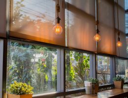 Types of window shades