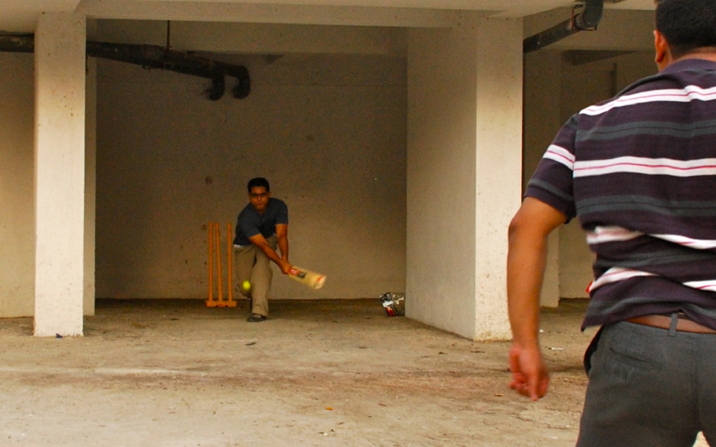 Cricket on Rooftop