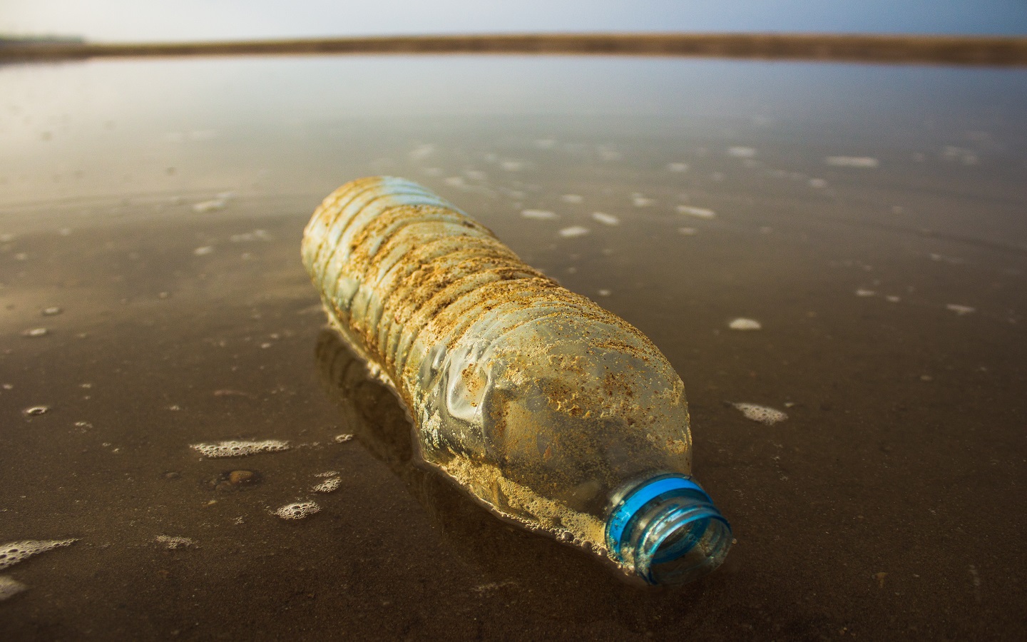 bottle