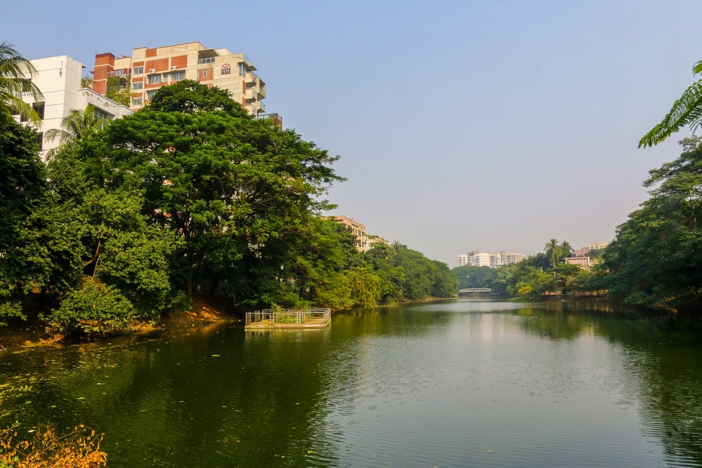 Dhanmondi lake