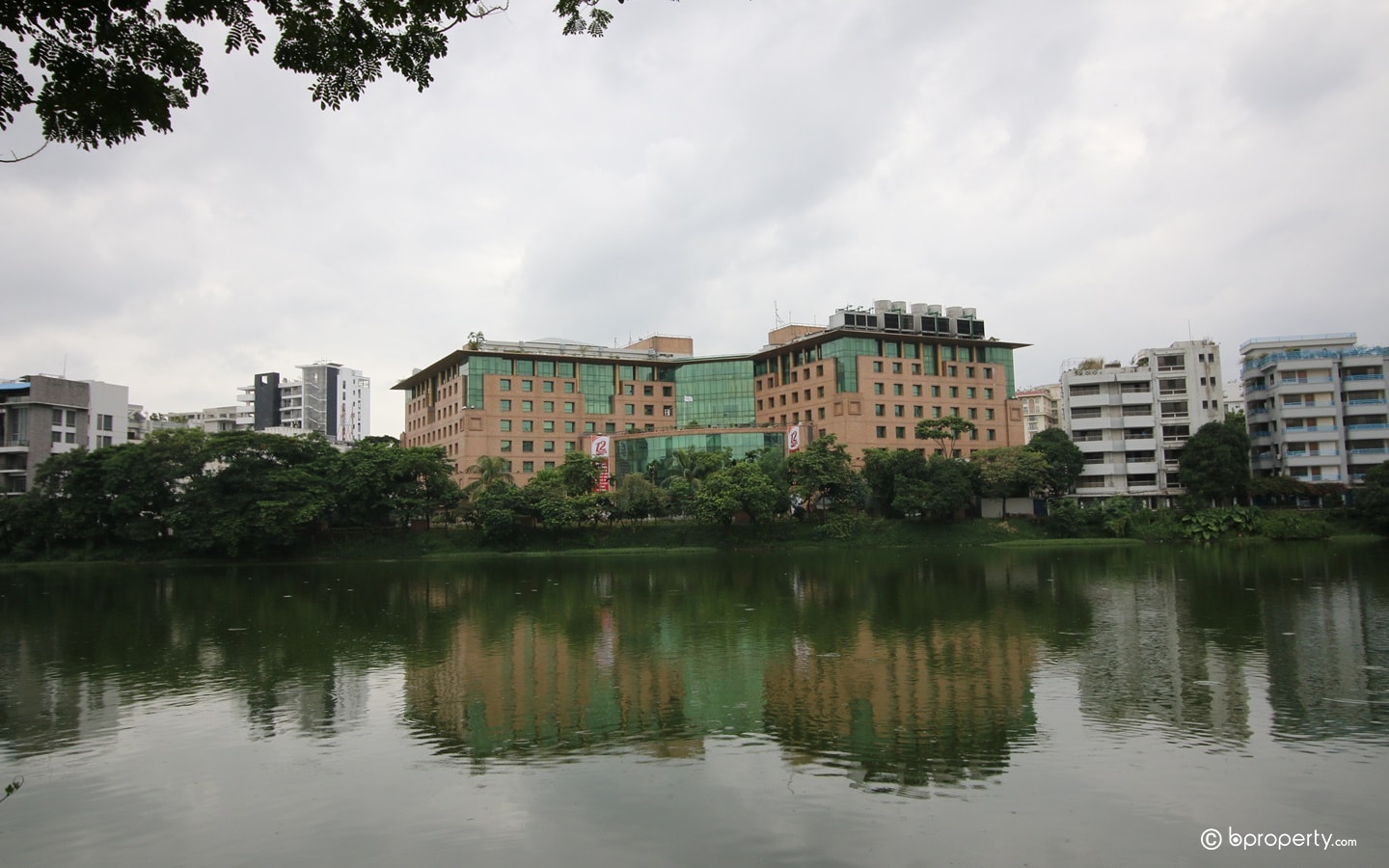 View from Baridhara Diplomatic Zone