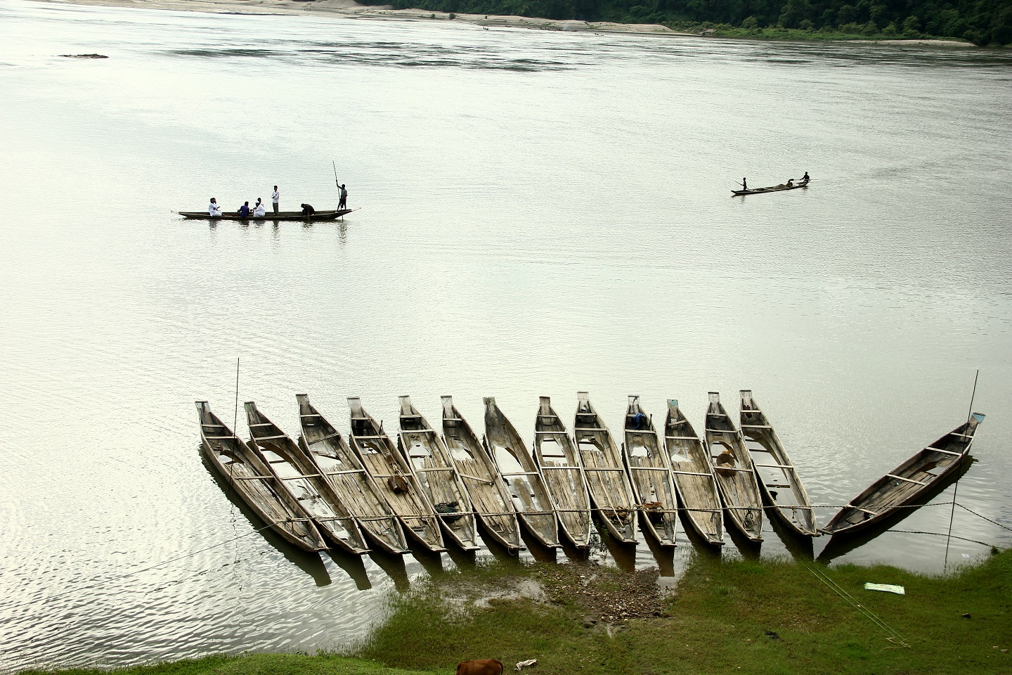 Goyain river boats