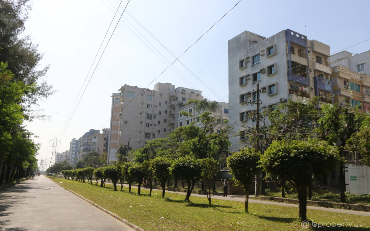 building and trees in a row
