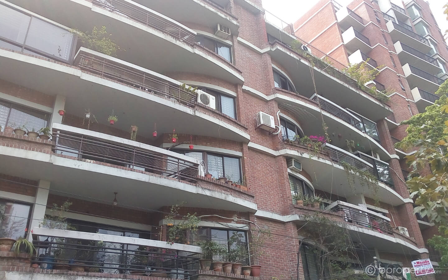 Spacious apartment in Dhanmondi