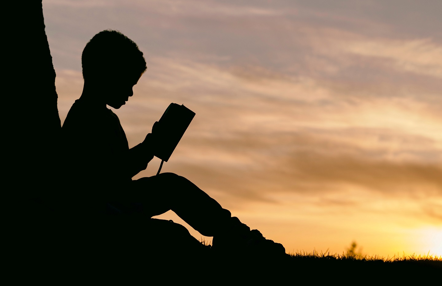 a boy is reading a book