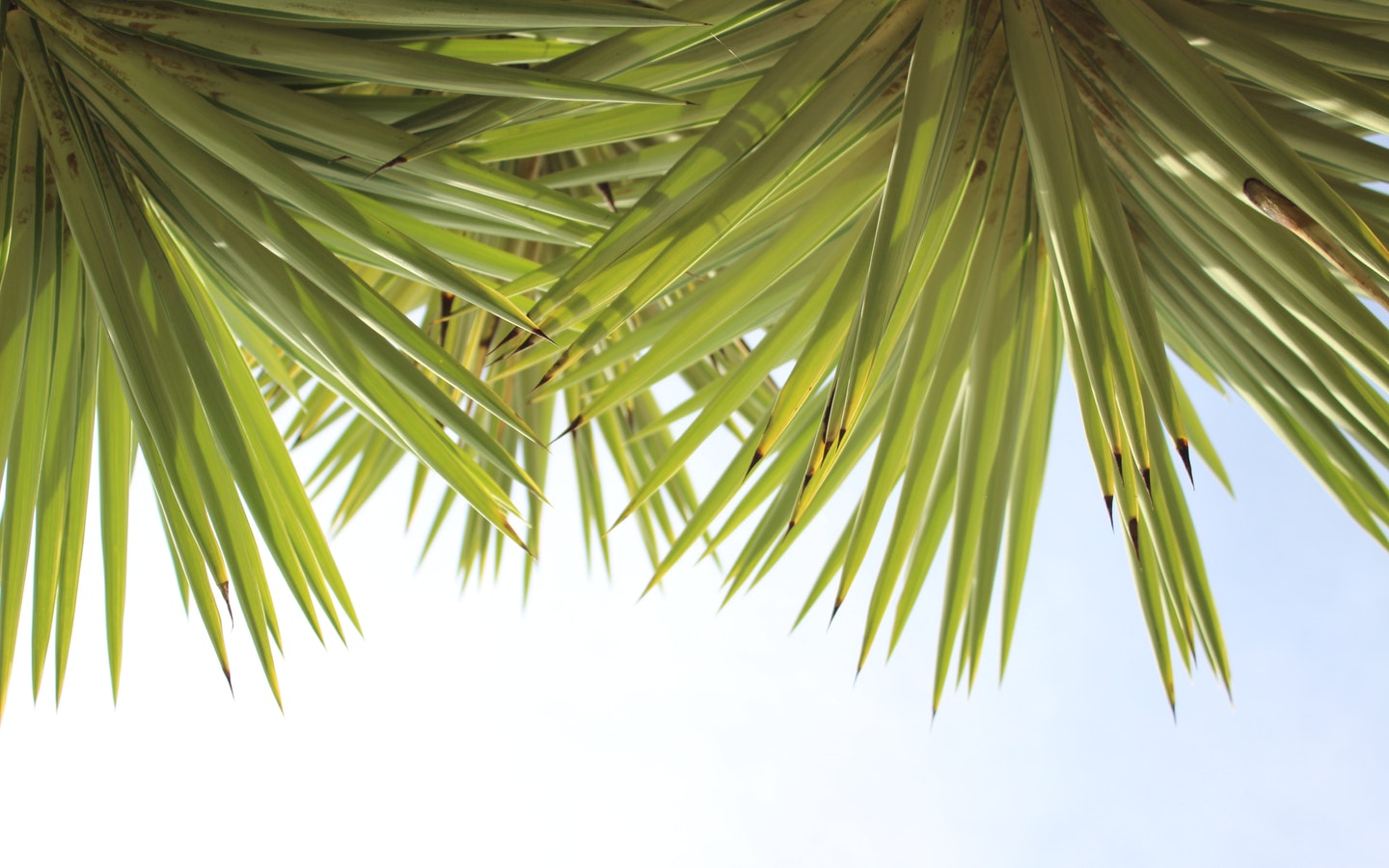 Make a few changes in your interior and get your house ready for the Summer