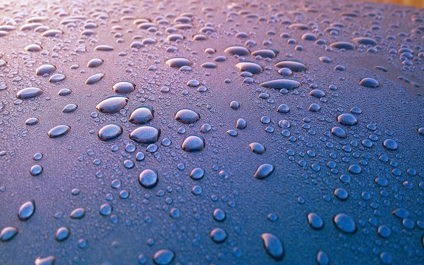 avoid humid environment for pest control