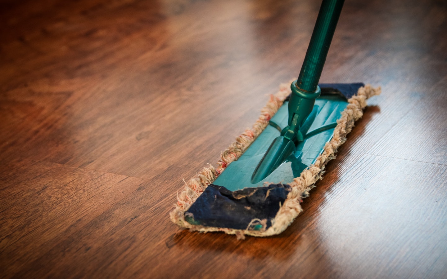 cleaning