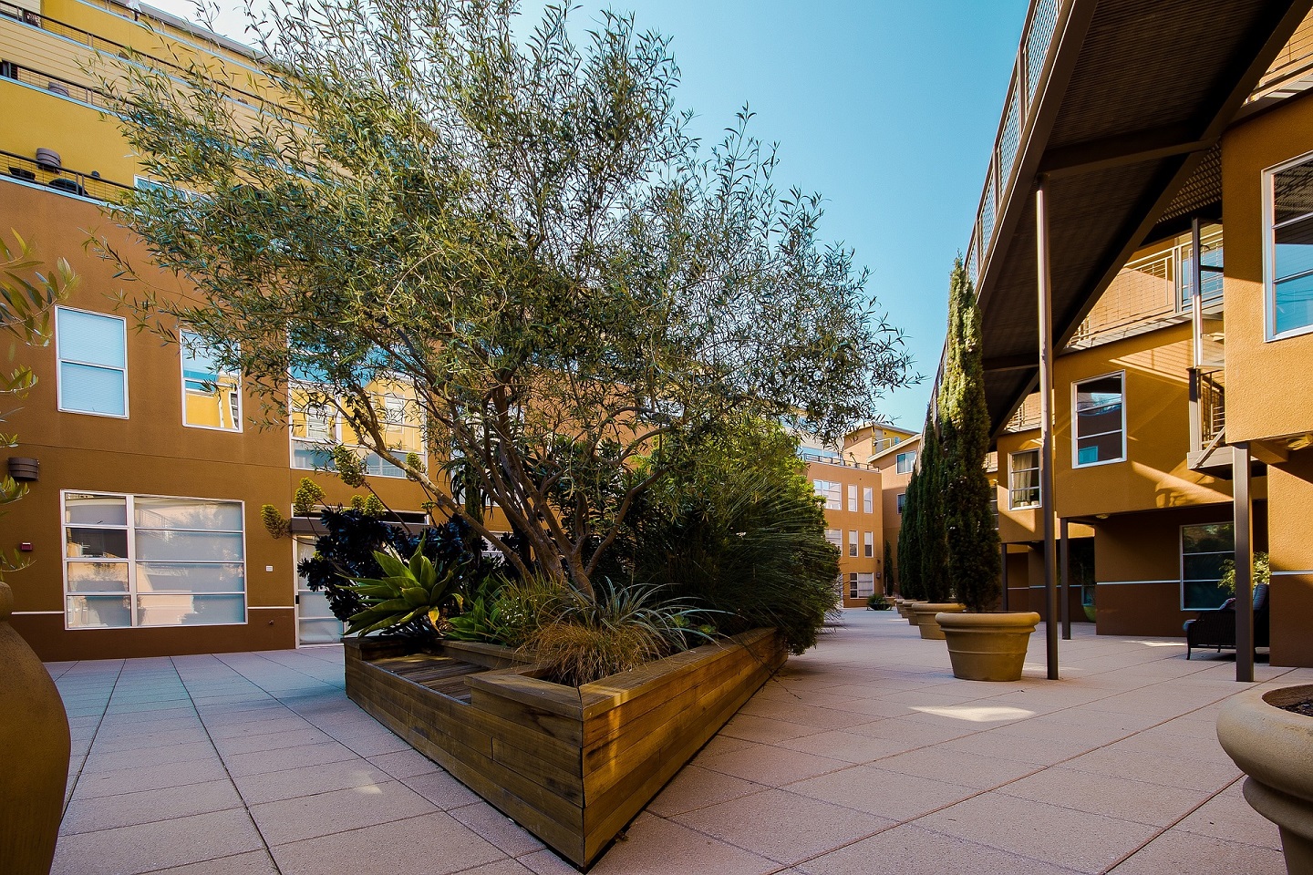 Open space between the buildings is essential for a condominium apartment