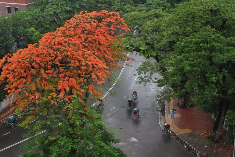 Top 5 Historical Roads/Squares Of Dhaka - Bproperty