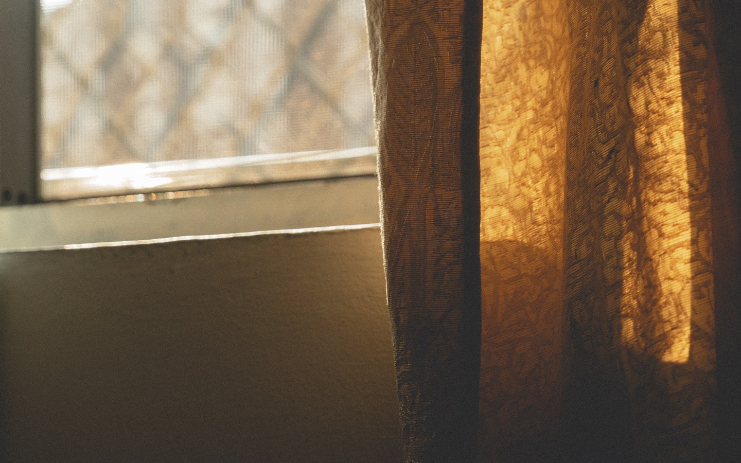 use nets to protect your home from pests