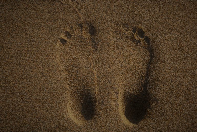 Individual Initiatives To Reduce Home's Carbon Footprint - Bproperty