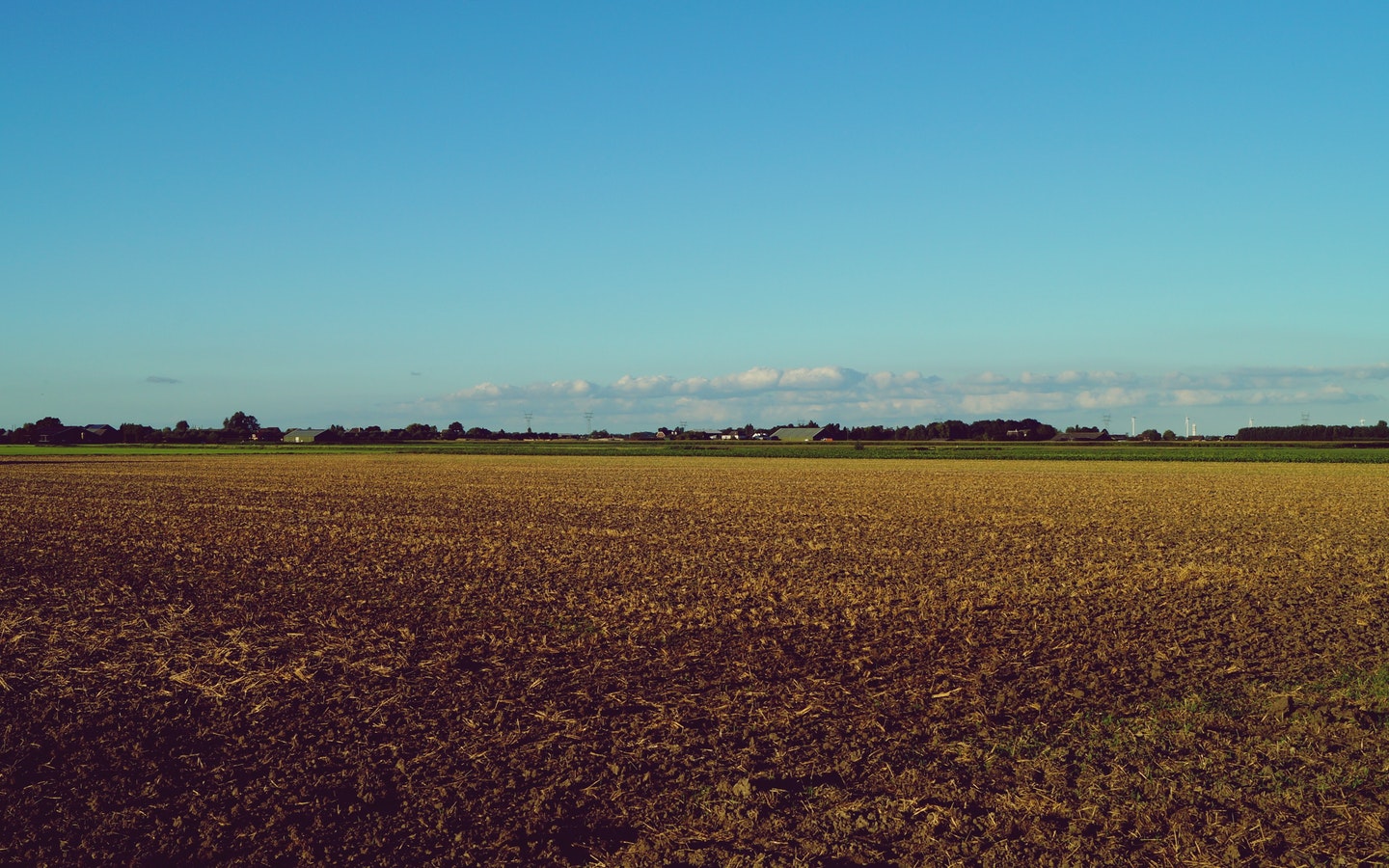 You must test the soil properly because it is one of the key factors when planning a construction