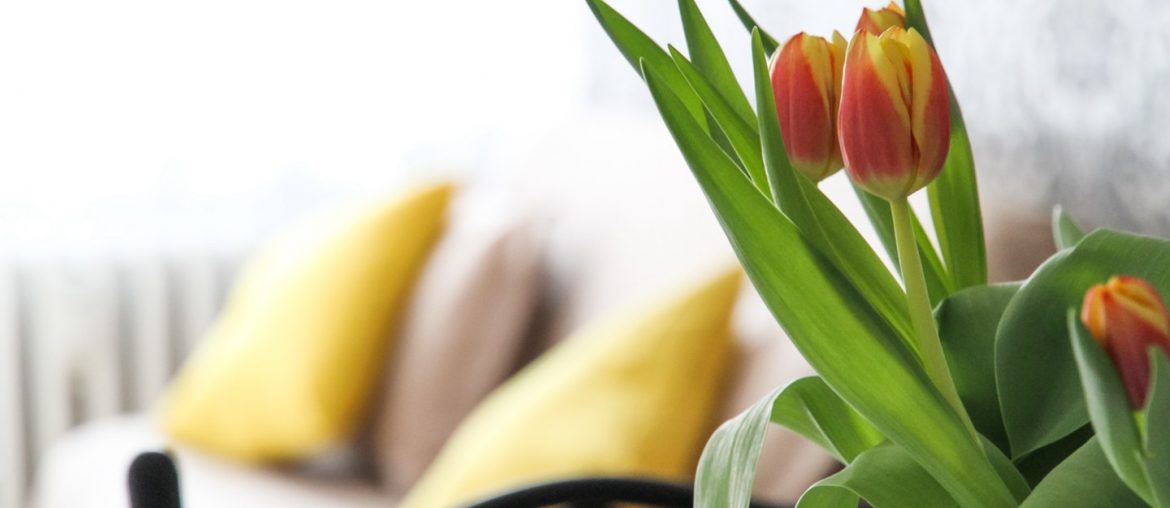 6 Quick and Easy Spring Decor Ideas for Home - Bproperty