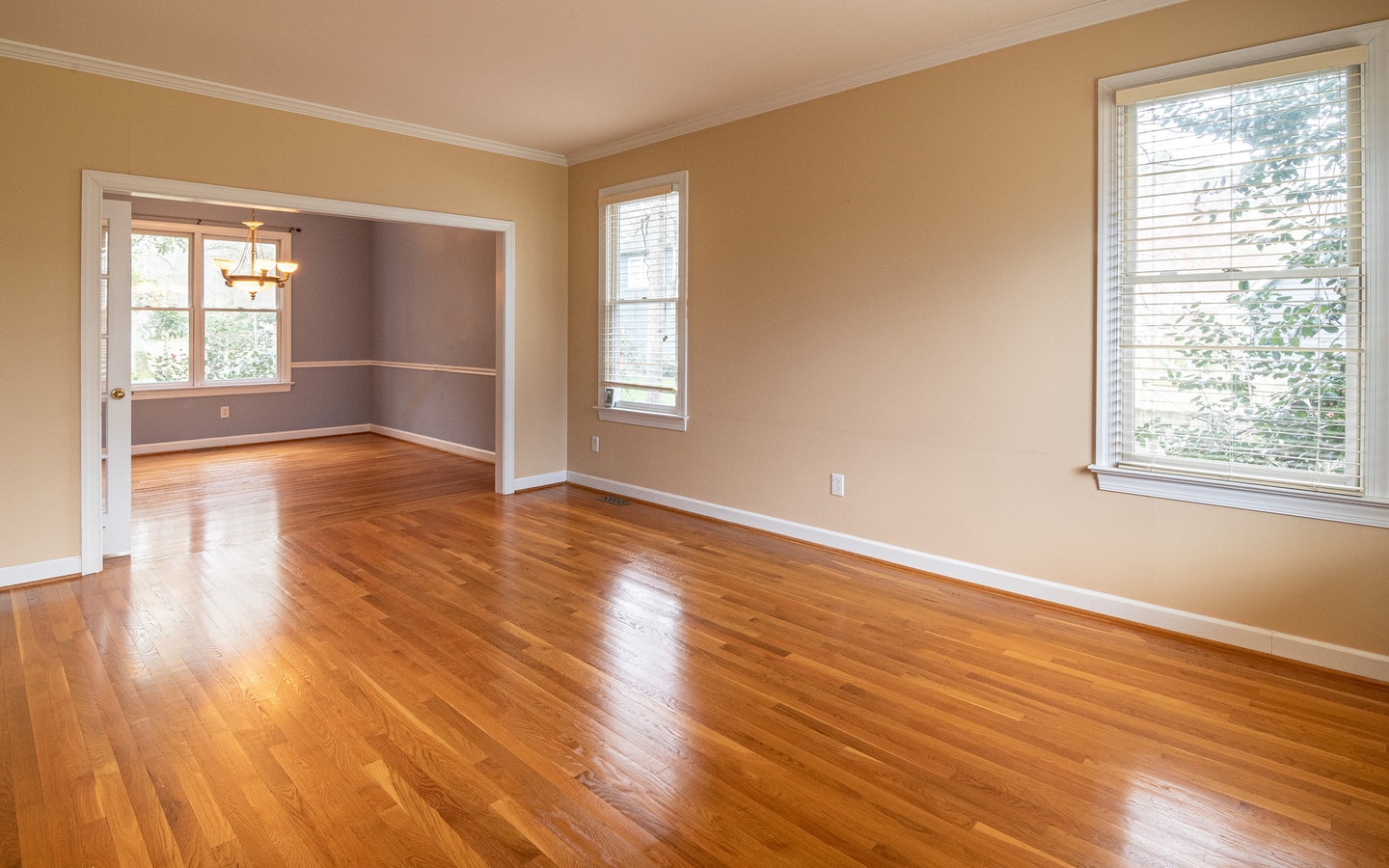 Empty Room